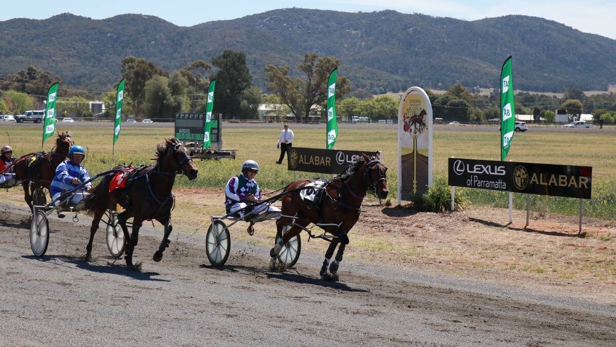 Little Mojo, trained and driven by John O'Shea, led the way home in Race 2 at the 2017 Canola Cup meeting.