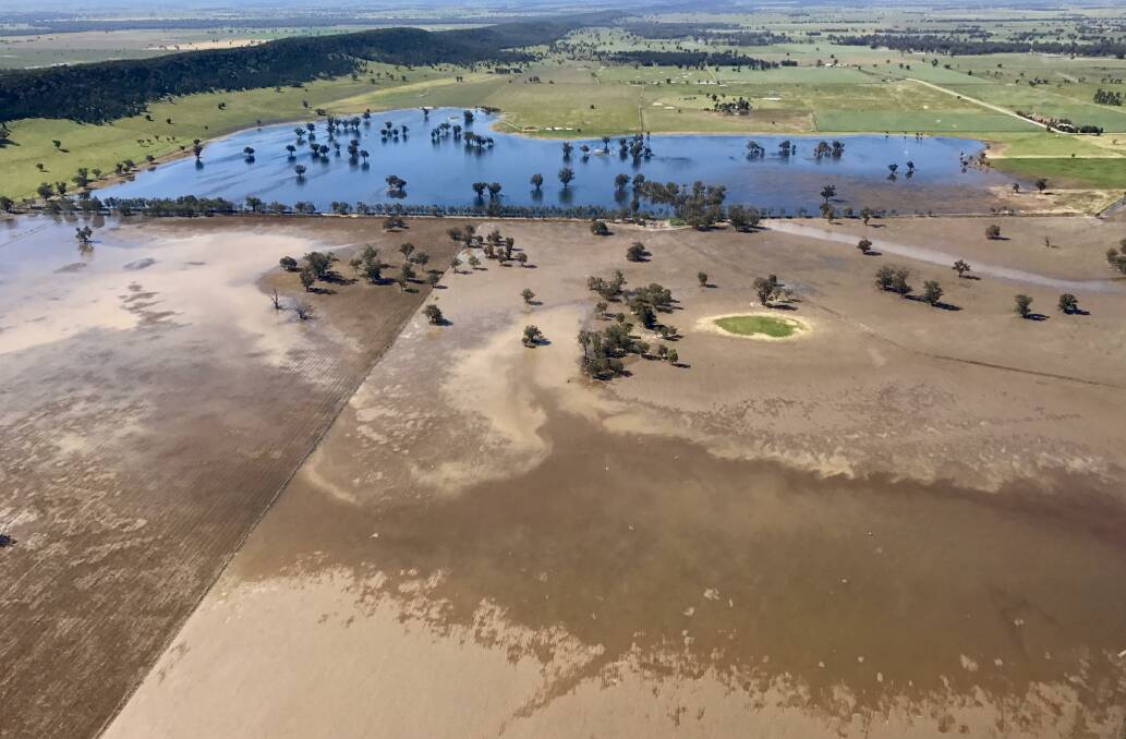 Lake Cowal farmer Brad Shephard has been documenting the floods - and the damage they've left behind - from the air. 