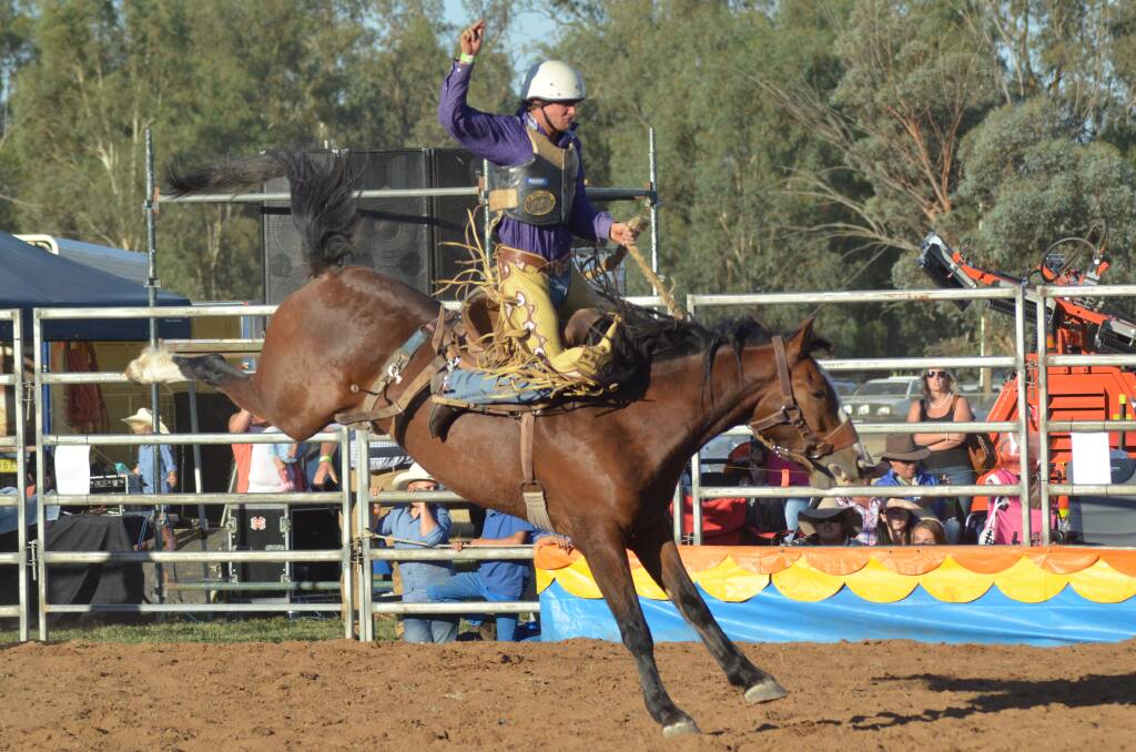 A saddlebronc rider at last year's Forbes Rodeo. 