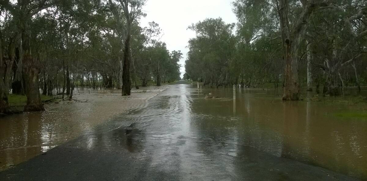 Water over Bedgerabong Road, at Little Plains, on Monday. Photo Forbes Shire Council.