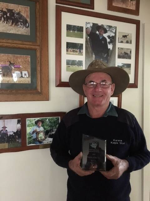 Kevin Howell with his NSW Yard Dog trials 2015 pointscore trophy. He is leading the 2016 competition as well. 