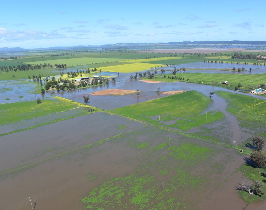This photograph from Monday, September 26, shows crop land under water. Local Land Services has received more than 350 reports of losses.