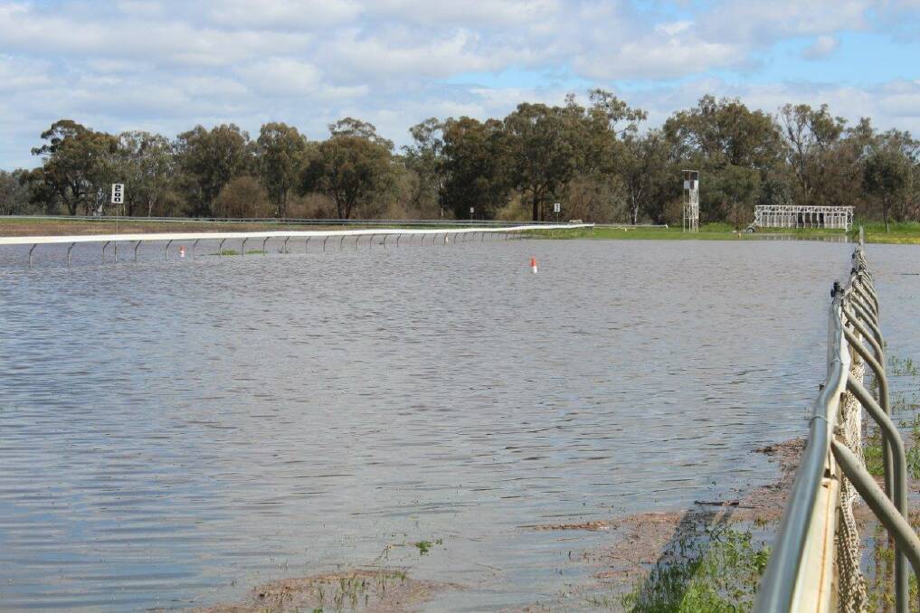 The Forbes race course was underwater at the time of the scheduled Spring picnic race meeting, but you're all invited to a new event on November 19.