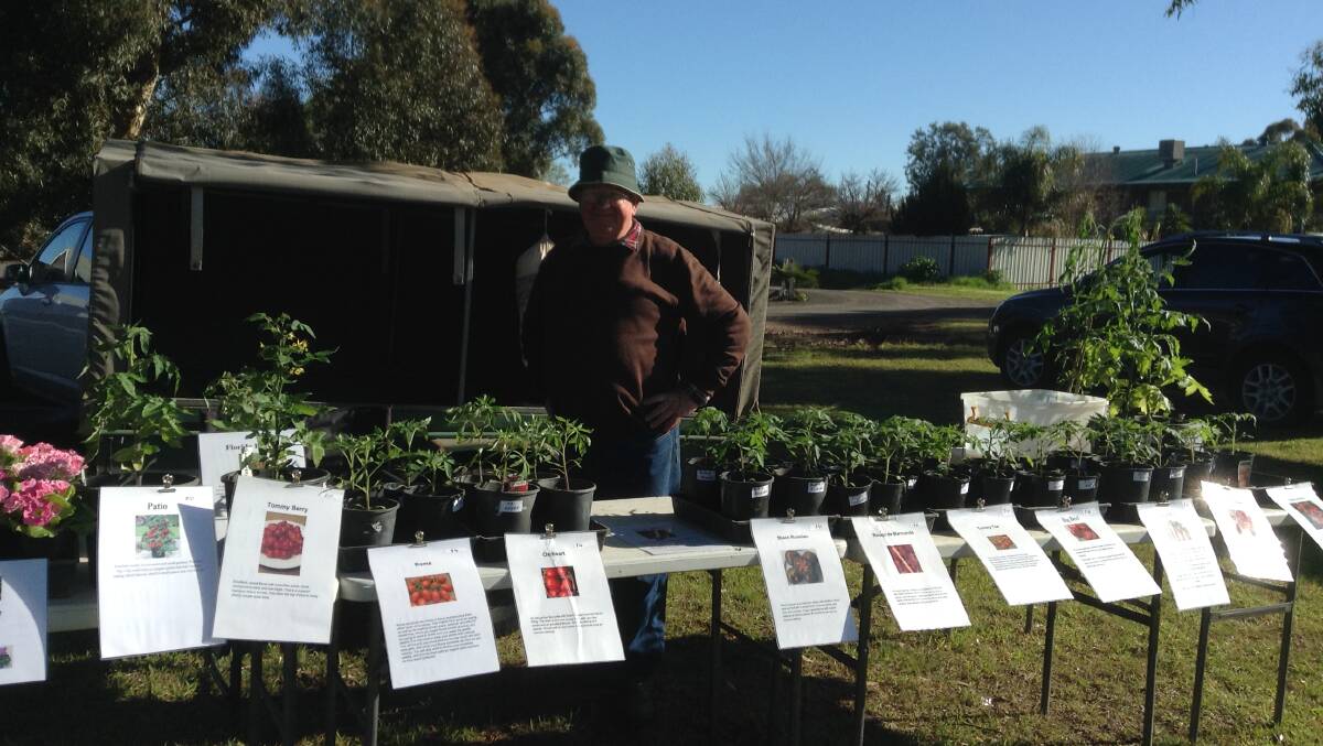 Pick up a new plant for your garden or veggie patch at Saturday's Rotary markets.