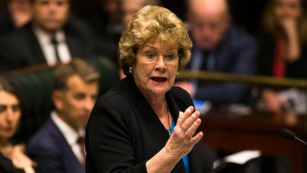 Health Minister Jillian Skinner has retired form politics. Photo: Edwina Pickles