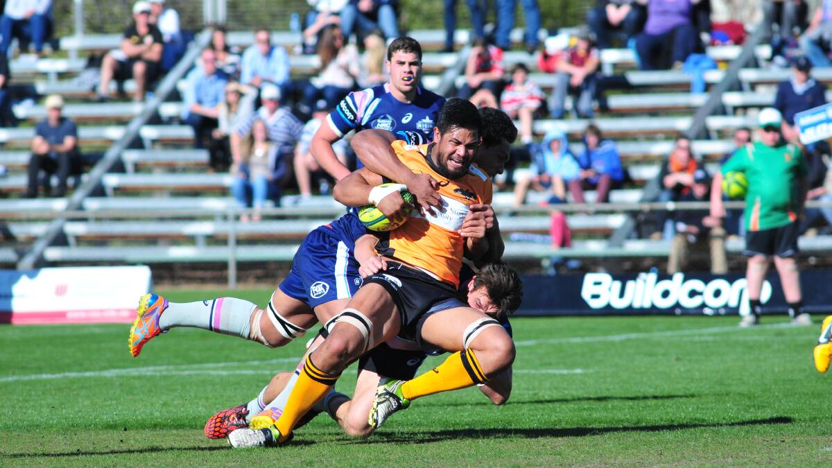 EAGLE ROCK: NSW Country flanker Ben Matwijo gets brought down at Wade Park in 2014. The Eagles will return to Orange in 2016, to play Perth. Photo: JUDE KEOGH 0920rugbymain22