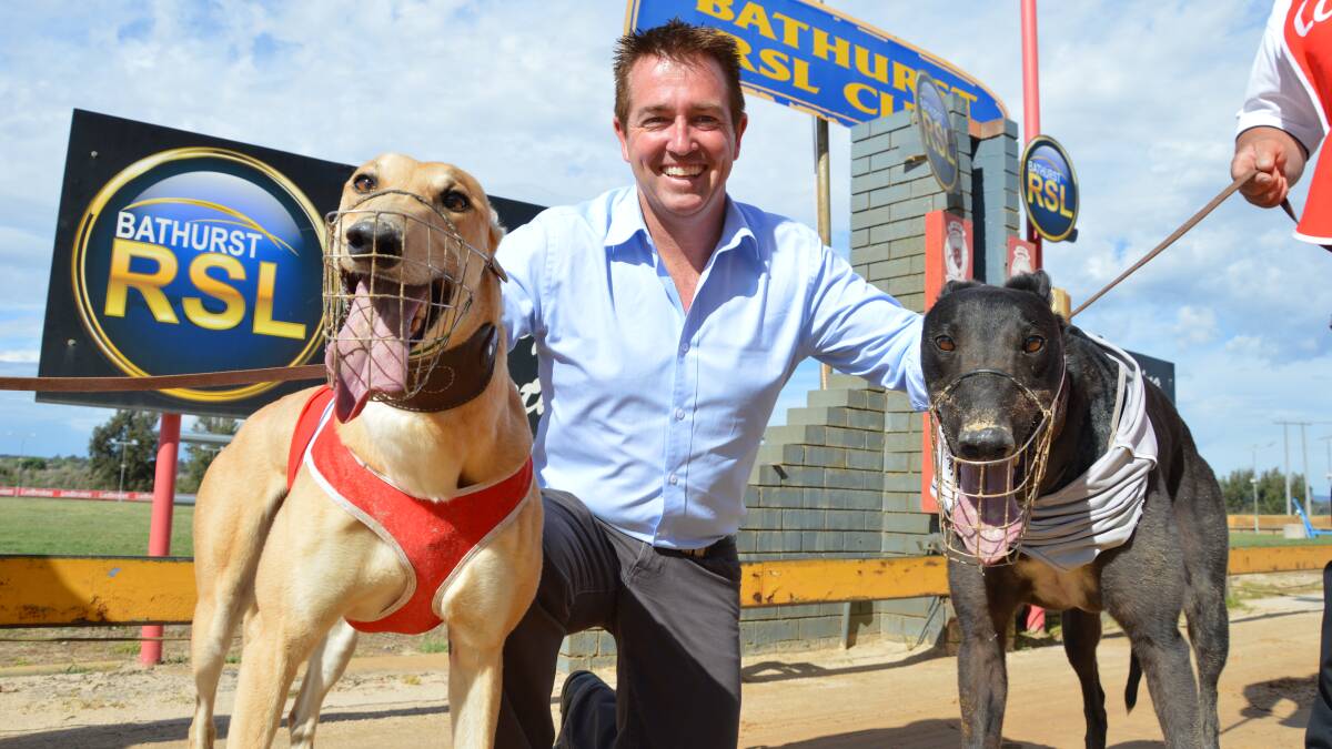 ON TRACK: Bathurst MP has announced the new Greyhound Welfare and Integrity Commission headquarters will be established in Bathurst. Photo: SUPPLIED