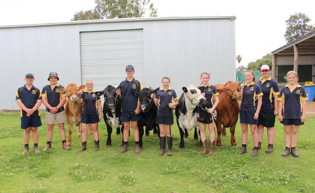 Forbes High cattle team Jed Matheson, Kyle Bolam, Jasmine Casey, Jack Cole, Chloe Kemp, Zoe Willis, Louise Herford, Gabby Alley and Grace Horan.