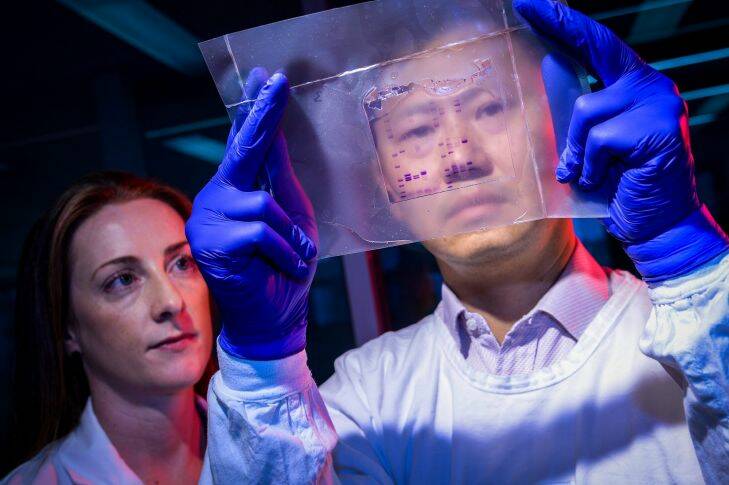 The Age, News, 28/02/2017, picture by Justin McManus. Prof. Johnson Mak from the Hudson Insitute at Deakin Uni and Dr Niamh Mangan , who is a fellow at the Fielding Foundation. Johnson and Niamh collaborated on reserach that discovered a protein (Interferon Epsilon) found in the female reproductive tract that blocks the viral replication of HIV. Johnson and Niamh holding antibodies to detect interferon epsilon. Photo: Justin McManus