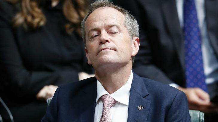 Opposition Leader Bill Shorten says his proposals would actually save money. Photo: Alex Ellinghausen