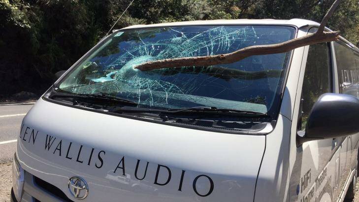 A man has had a lucky escape after a tree branch pierced through his windscreen. Photo: Supplied