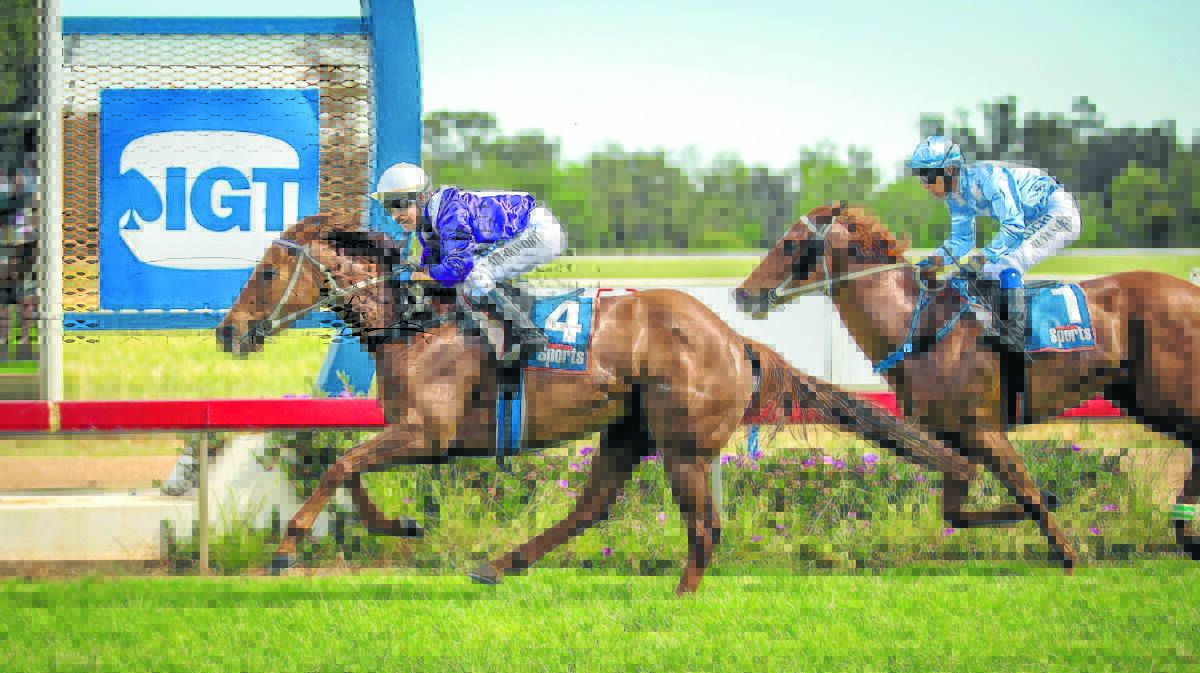 Catherine Markwort rode her first winner on the Forbes track last ­weekend, piloting Set For Gold, trained by Barry Molloy, to victory in the Walkers Ag-N-Vet and Rawson Homes Benchmark 50 Handicap.Photo courtesy of www.racingphotography.com.au