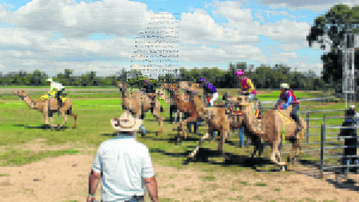 A record crowd attended this year's Forbes Camel Races on a perfect Good Friday.