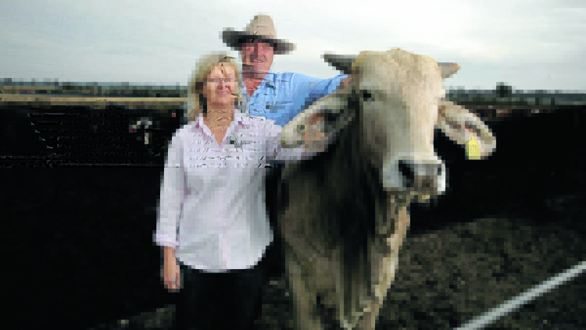 Tess and Andrew Herbert along with ‘Banjo’ are happy with the FTA agreement.