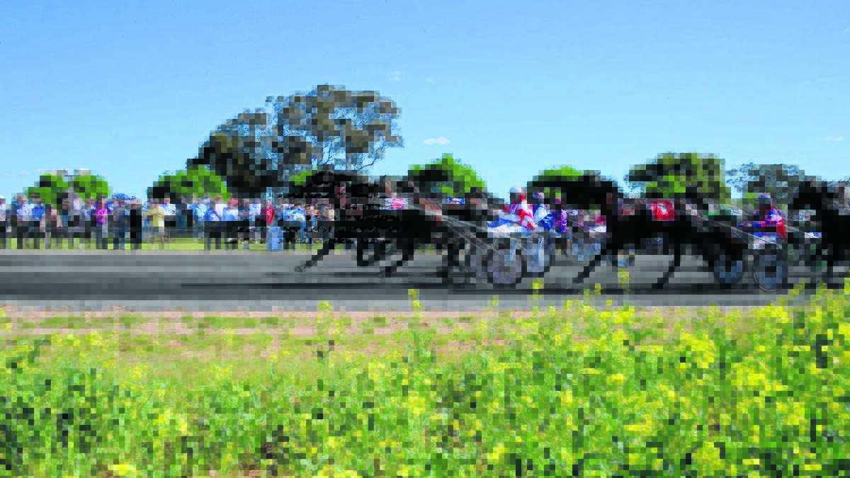 Eugowra’s harness racing track was looking a picture last year when Nathan Hurst led the way home in the Canola Cup. 