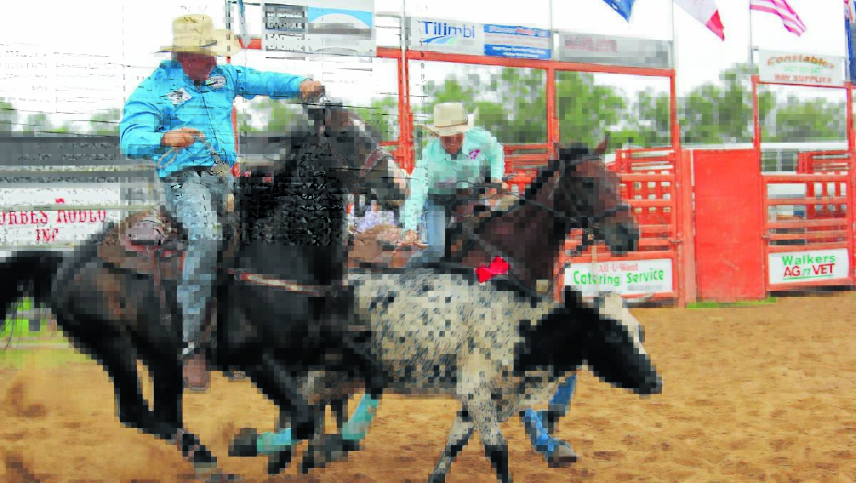 
The Steer Undecorating event was just one of a number of exciting events on offer at Saturday’s Forbes Central West Livestock Exchange Rodeo. 0314rodeo(84)