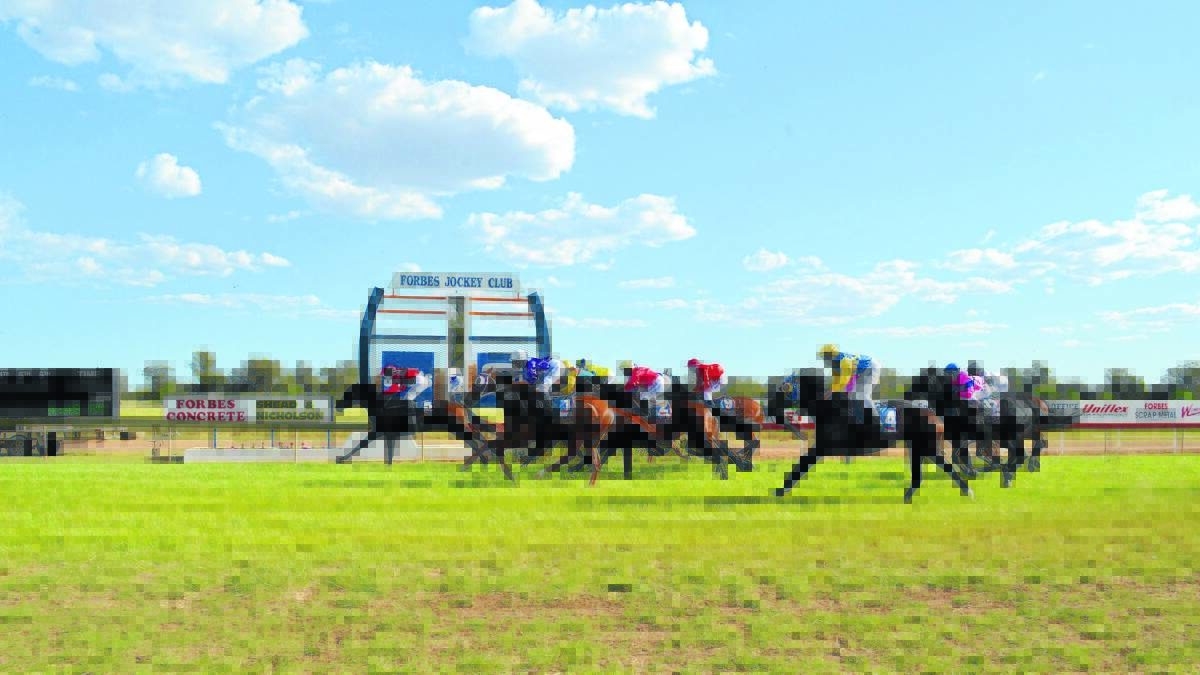Last year’s Forbes Spring Cup provided a close finish with the locally trained Royal Society ­narrowly beaten. 1014races (227)