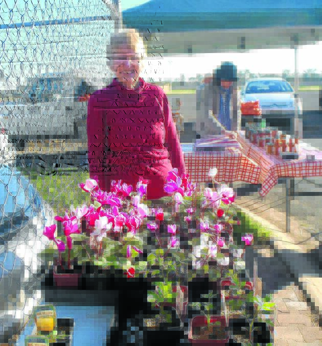 Margaret Girot is a regular and favourite stall holder at the Rotary Ipomoea markets. She will have vegetables, plants, flowers, seedlings and hens for sale at the markets.