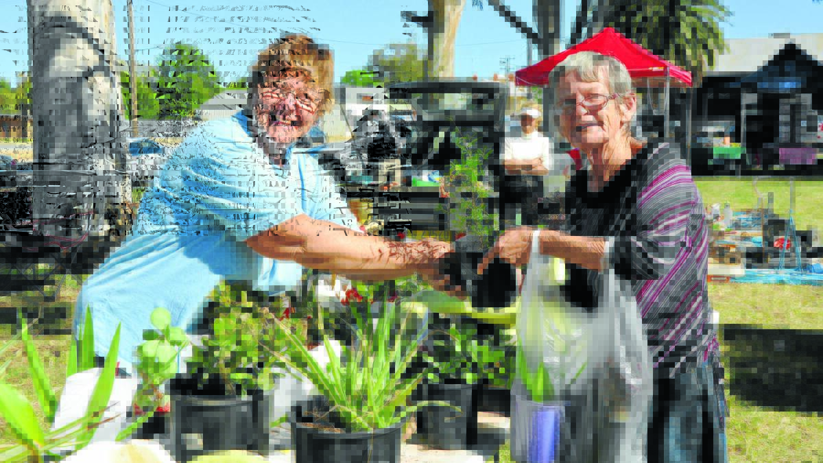 Sue-anne Nixon sells plants to Pat Stonham at a previous Rotary Ipomoea Markets.