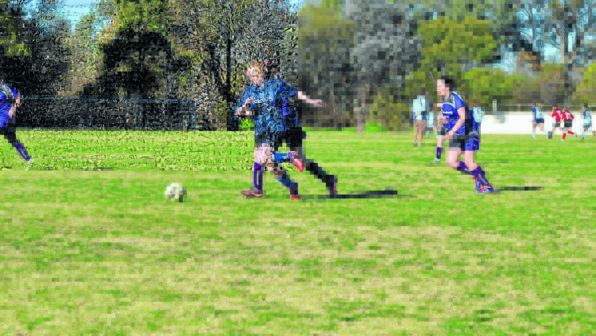 News on Rankin’s Raine Piercy was solid in defence against rival Forbes team the Vandenberg on Saturday. 0815soccer15(6)