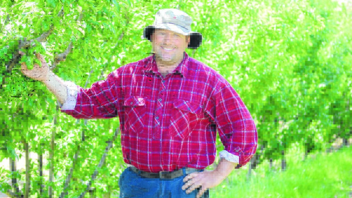 Local orchardist Luke Ellison is staying positive about his future in the industry, though uncertain how he will manage pests on his fruit crops following the ban of widely-used chemical fenthion. 1014orchard006