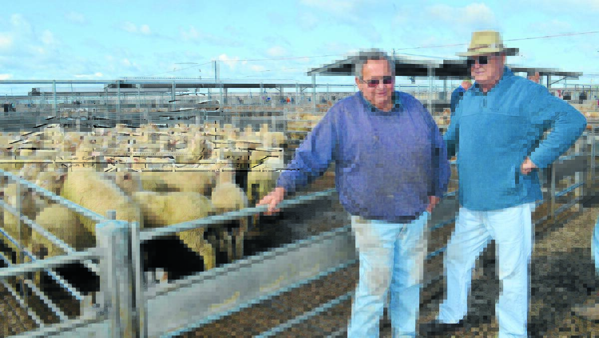 Local producer Noel Pengilly and local rural identity Kerry Smith with a pen of lambs being sold by Noel at Tuesday’s sale. 
The sucker lambs sold for $150 a head through Forbes Livestock Agency.  Sheep producers along with farmers from all different backgrounds will benefit from the two-day forum coming to Forbes next month.