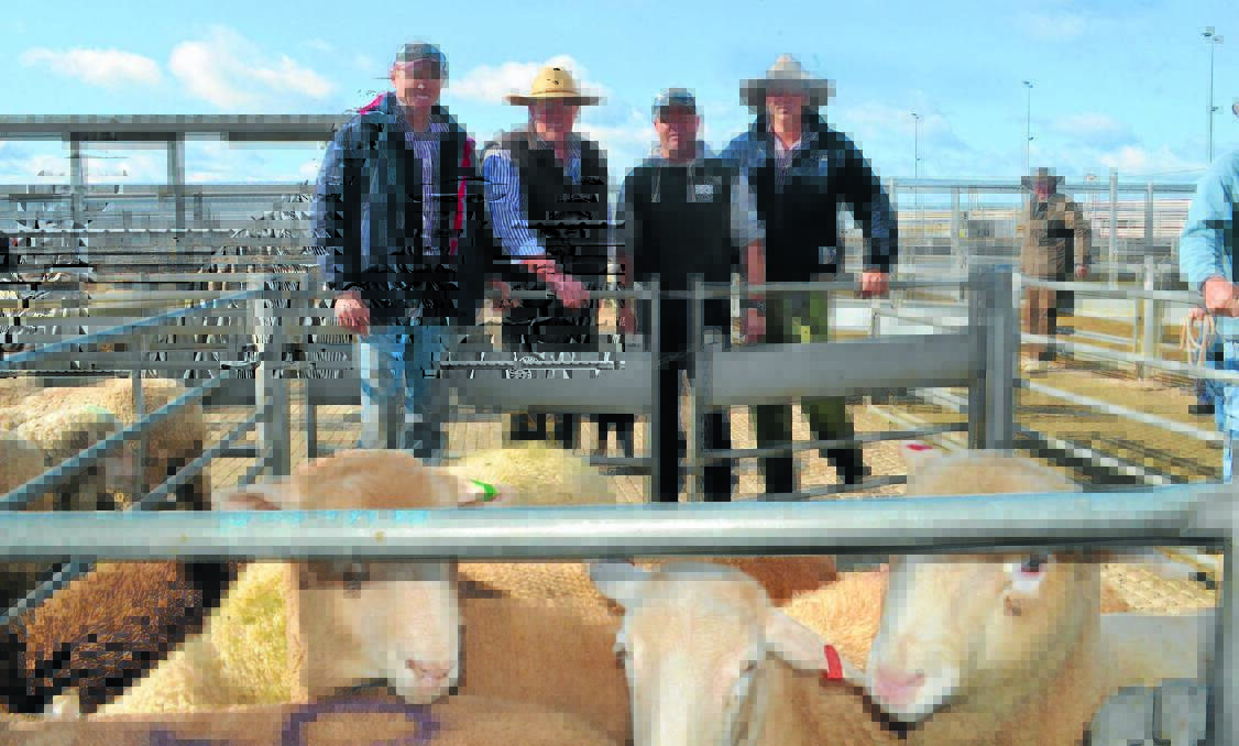 McCarron Cullinane Chudleigh agents Mitch Gosper, Adam Chudleigh and Hugh Dobell (right) with Forbes Junior Rugby League president Chris Morrison (second right) after Tuesday’s successful lamb auction.
