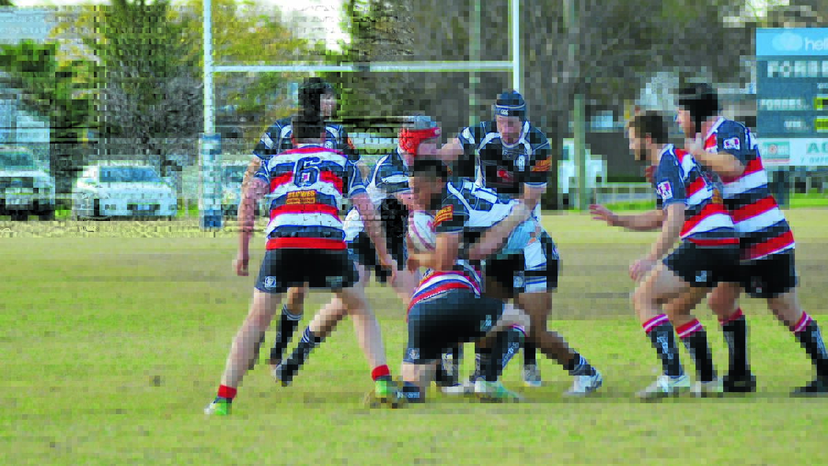 Percy Angilau (pictured with the ball) was the Platypi’s best player on Saturday, scoring two tries. 0615platypi27(56)