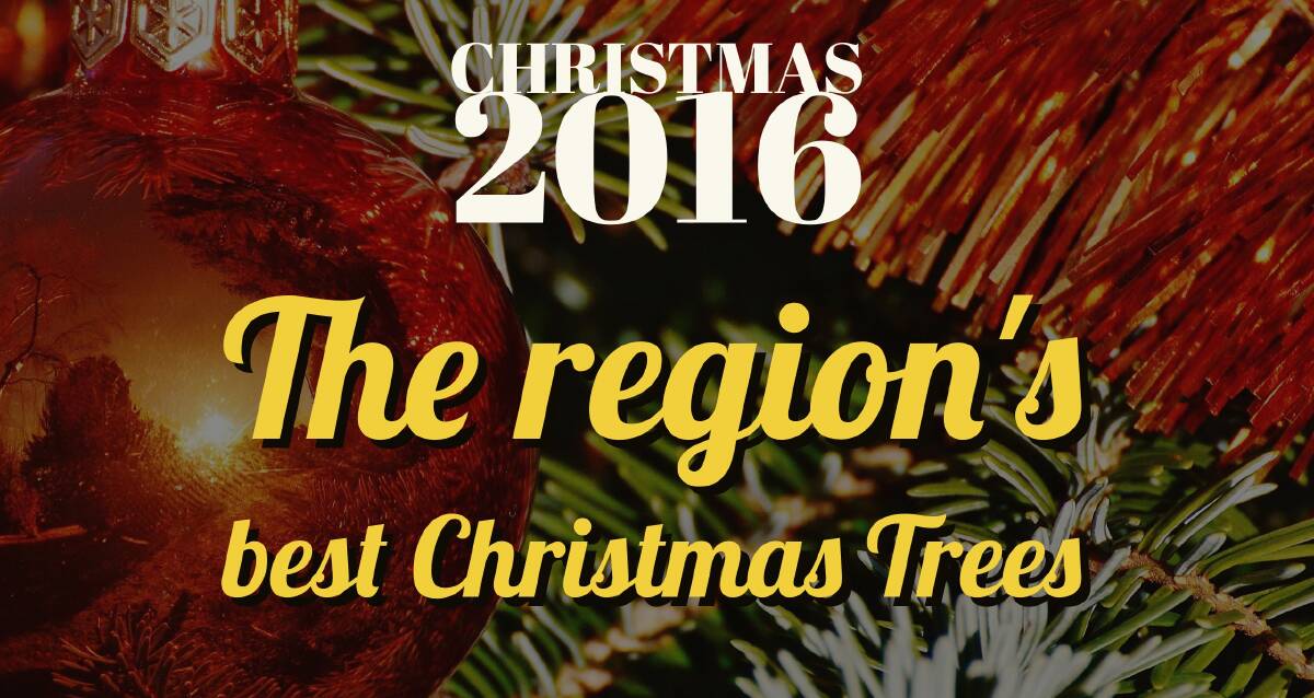 The region's best Christmas Trees | Photos