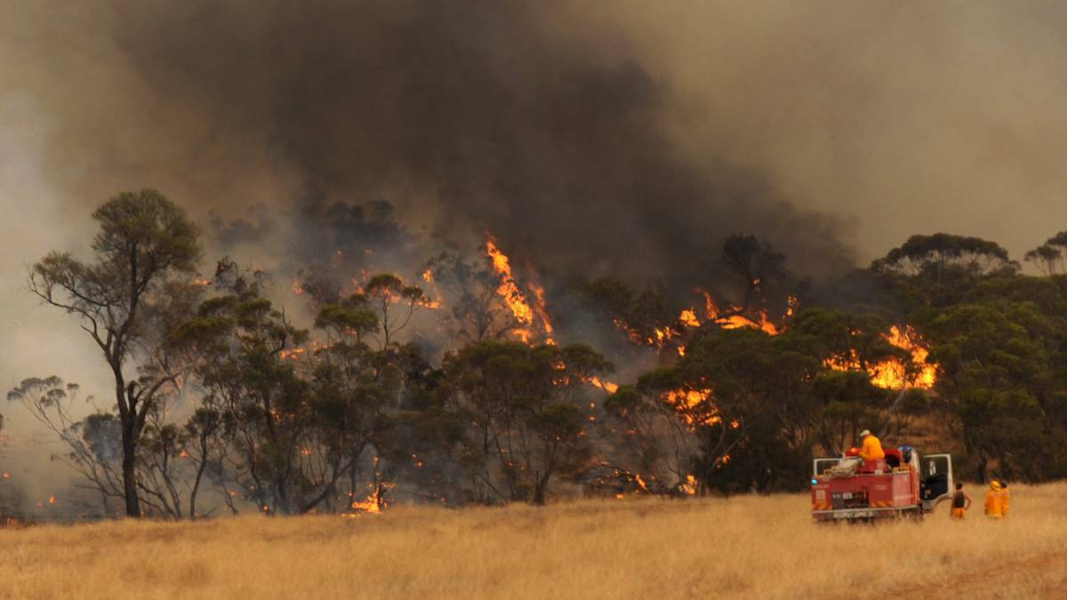 An environmental lobby group has estimated the Grampians bushfires in 2006 cost more than $585 million 