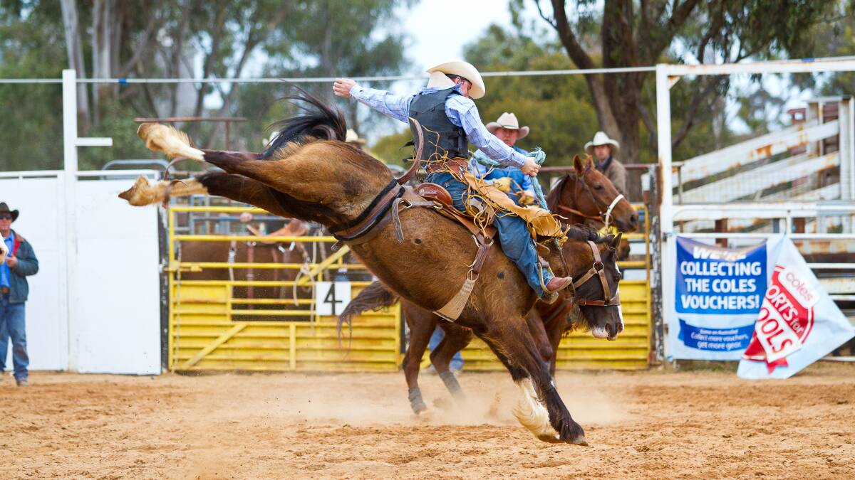 A rodeo next year could attract hundreds of people to Forbes.  Photo: Southern Equine Photography 