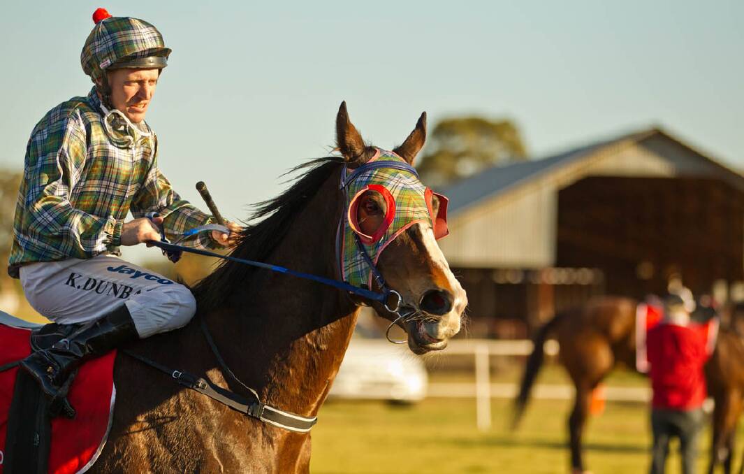 Ken Dunbar brings Dragon’s Keep back to scale after a win at Narromine for Bathurst trainer Paul Theobald who has the brilliant sprinter ­nominated for the Bedgerabong Picnic Races on Saturday. Photo Western Advocate.