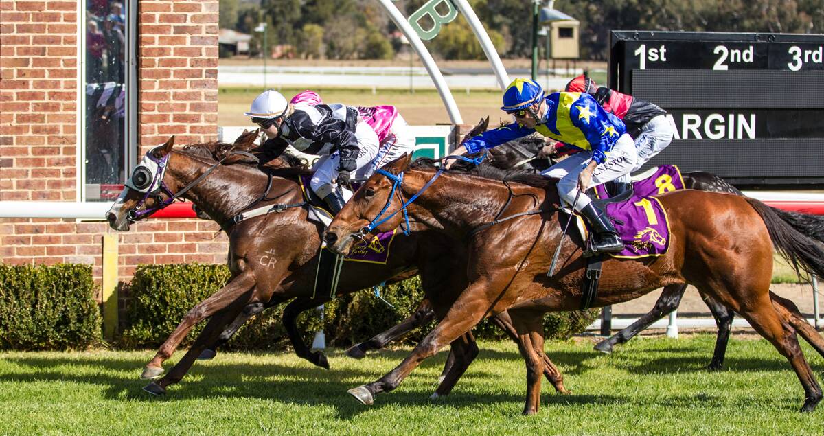 Double Dissolution wins for jockey Catherine Markwort and trainer Peter Kirby at Mudgee. Photo courtesy of www.racingphotography.com.au