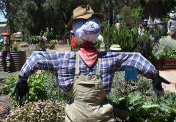 Get creative and enter in this years Forbes Community Gardens open day scarecrow competition.