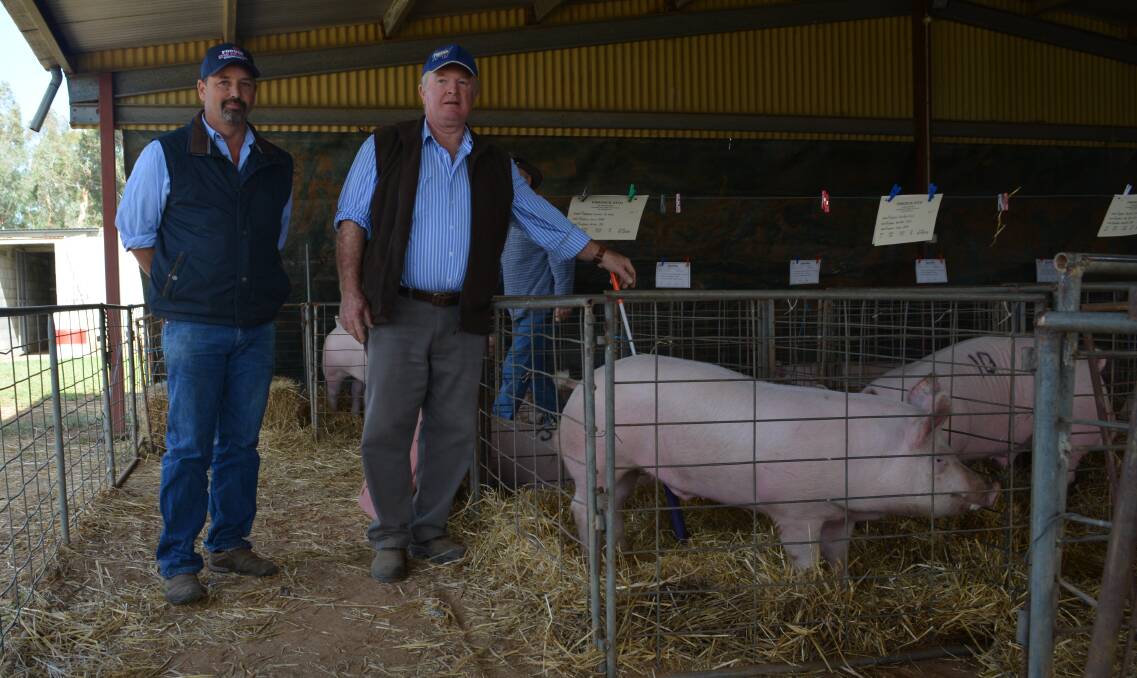 Equal top-priced boar, Pinedock Louis G1056, sold for $1800 to Jeff Doolan, Hurlstone Agricultural High School, who is pictured with vendor Chris Dockrill of Pinedock, Casino. 