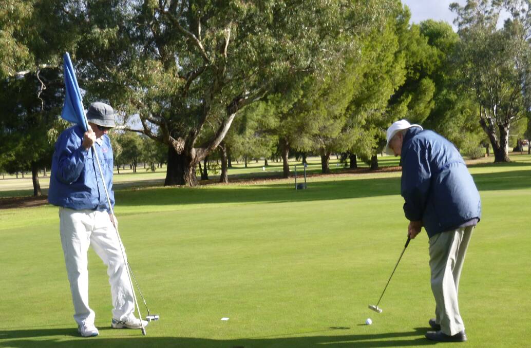 Bright Day: Tom Edols, watched by Milton Cartwright, prepares to putt on the final hole before heading for the warm clubhouse.