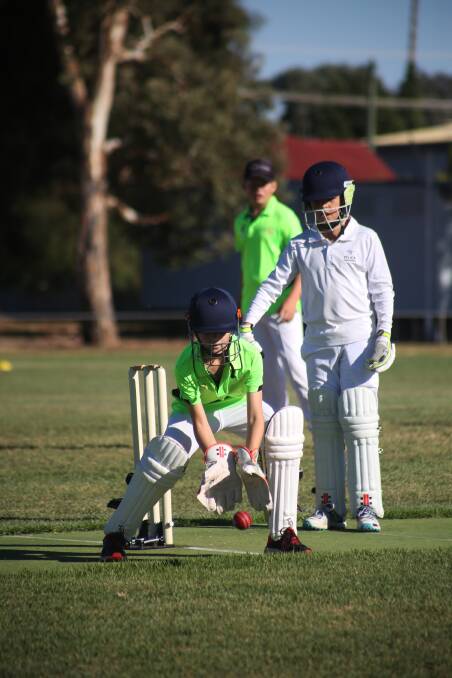 Cracking Cricket: Charlie Francis in wicket keeper in Saturday's final rounds of the local junior cricket competition. More in Friday's edition. 