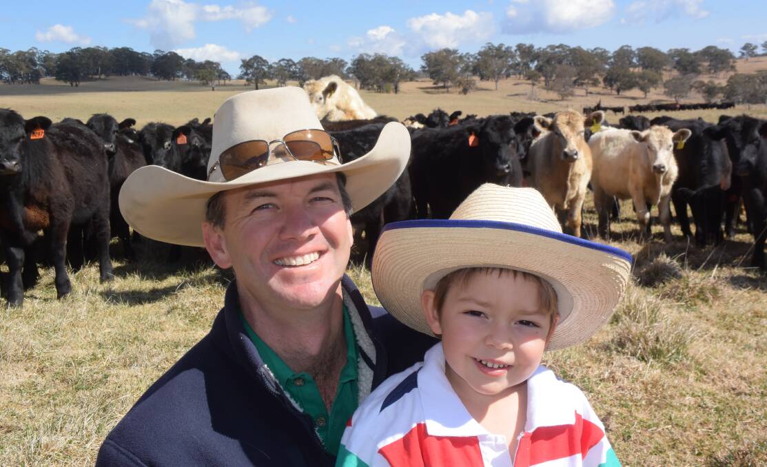 CUTTING EDGE: Wilmot manager Stuart Austin and his son Harry with steers and trade cattle doing well on a rotational grazing system. PHOTO: Jamie Brown
