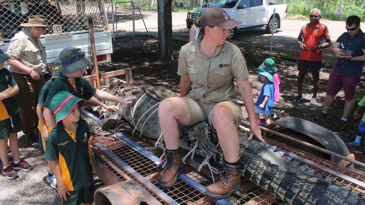 Ranger Erin Britton sits astride a 3.9 metre crocodile trapped near Katherine as local school students have a close inspection, hoping it is the only one they ever have.