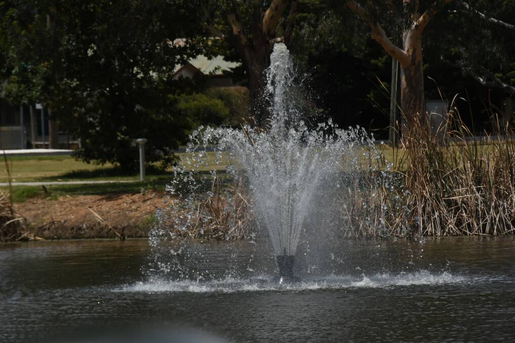 The new fountains in Lake Forbes have been funded under a $2 million grant. They use less power than the earlier ones and can be lit colourfully at night. 