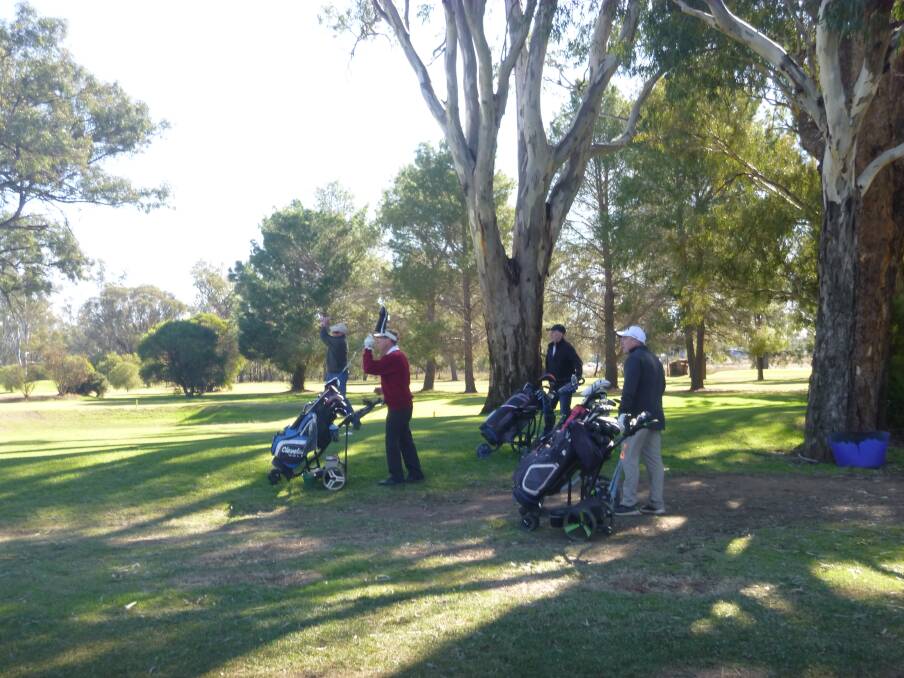 BATHED IN SUNSHINE: Ken Sanderson and group enjoying a day on the Forbes golf course. Picture: SUPPLIED