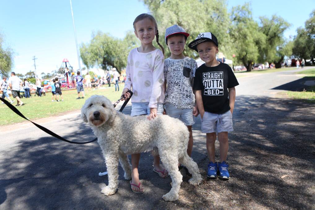 Teddy the dog, Stella Bull, Toby Smart and Jack Bull enjoying this year's teddy bear's picnic - just one of many events Council supported in some way this year.