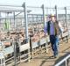 NEWEST OAM: Steve Loane has been recognised in the Australia Day honours list for his service to the livestock industry and to local government. Picture: THE LAND
