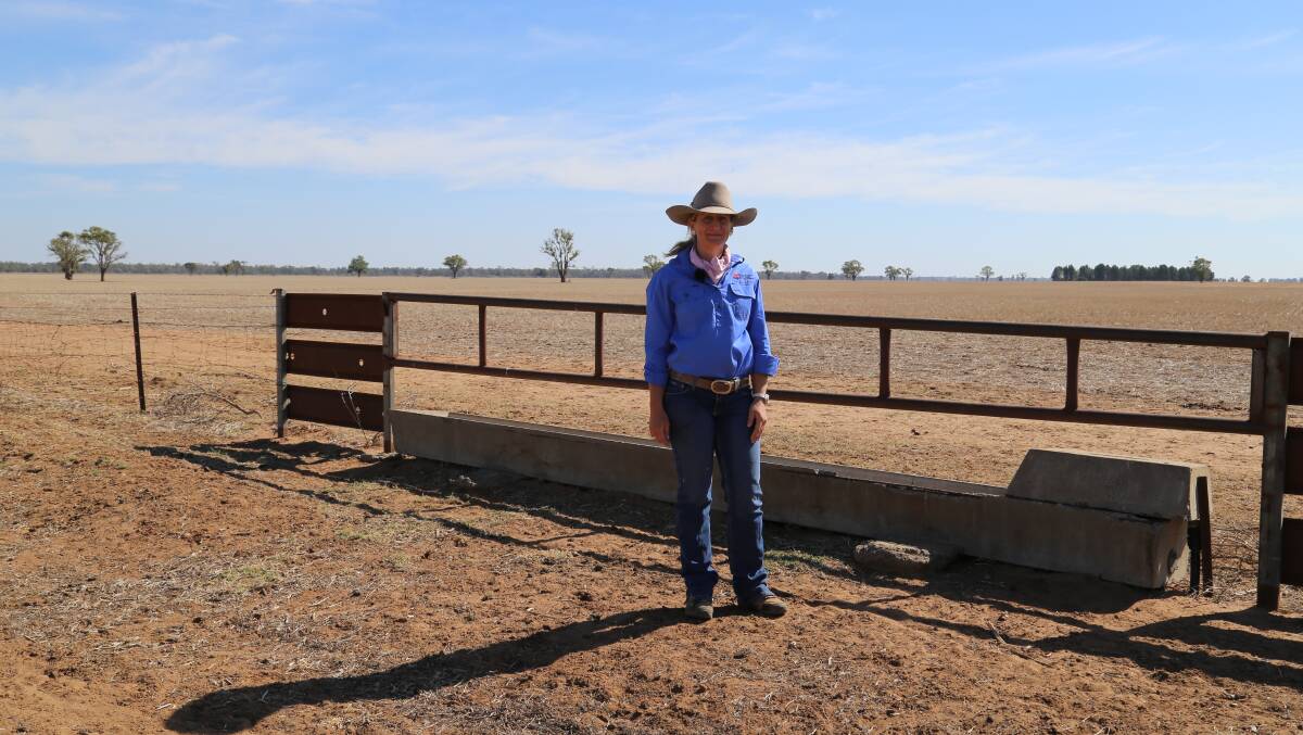 District vet Jillian Kelly will be talking at the drought information session but it's a very informal event. All encouraged to come along for a cuppa. 
