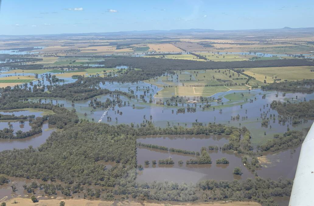 SPREADING DEVASTATION: Floodwaters creeping from the Lachlan River across the floodplain. Picture: Craig Dwyer
