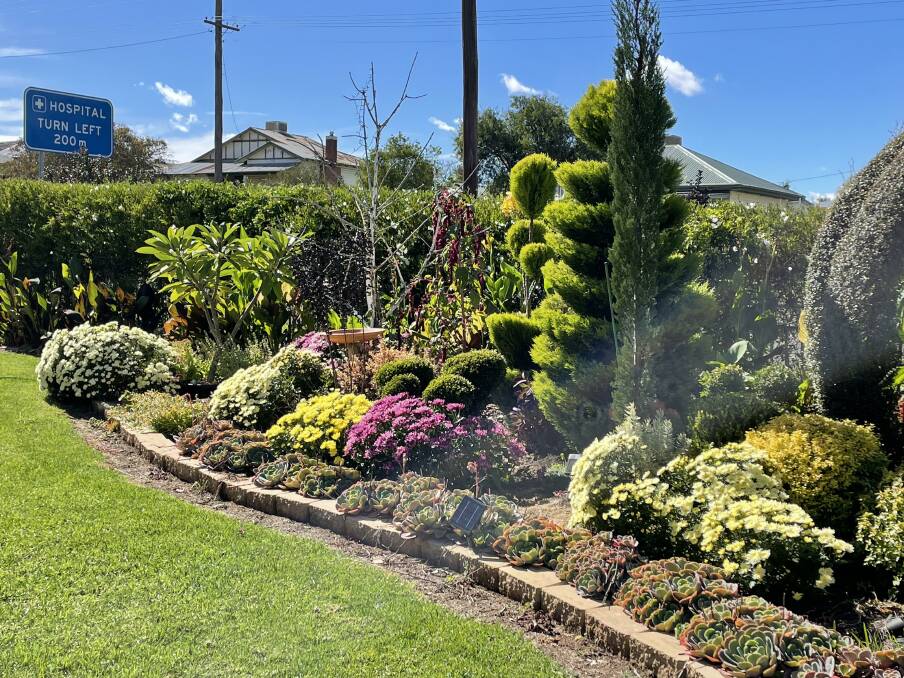 GREEN THUMB: Springtime in John Browne's garden. Picture: ELVY QUIRK