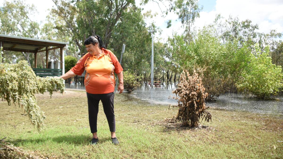 Even hardy natives like saltbush could not withstand the floodwaters and Aileen Allen at the Wiradjuri Dreaming Centre says the damage is devastating. 