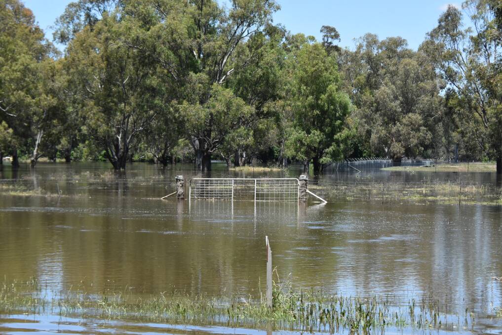 Low-lying areas around Forbes were under water on Wednesday with the Lachlan River on its way to a predicted 10.55m peak at the Iron Bridge.