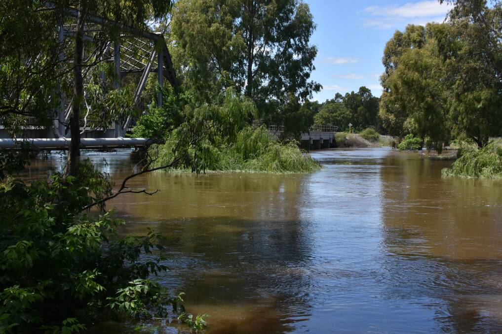The Lachlan River near Forbes in flood time. File picture