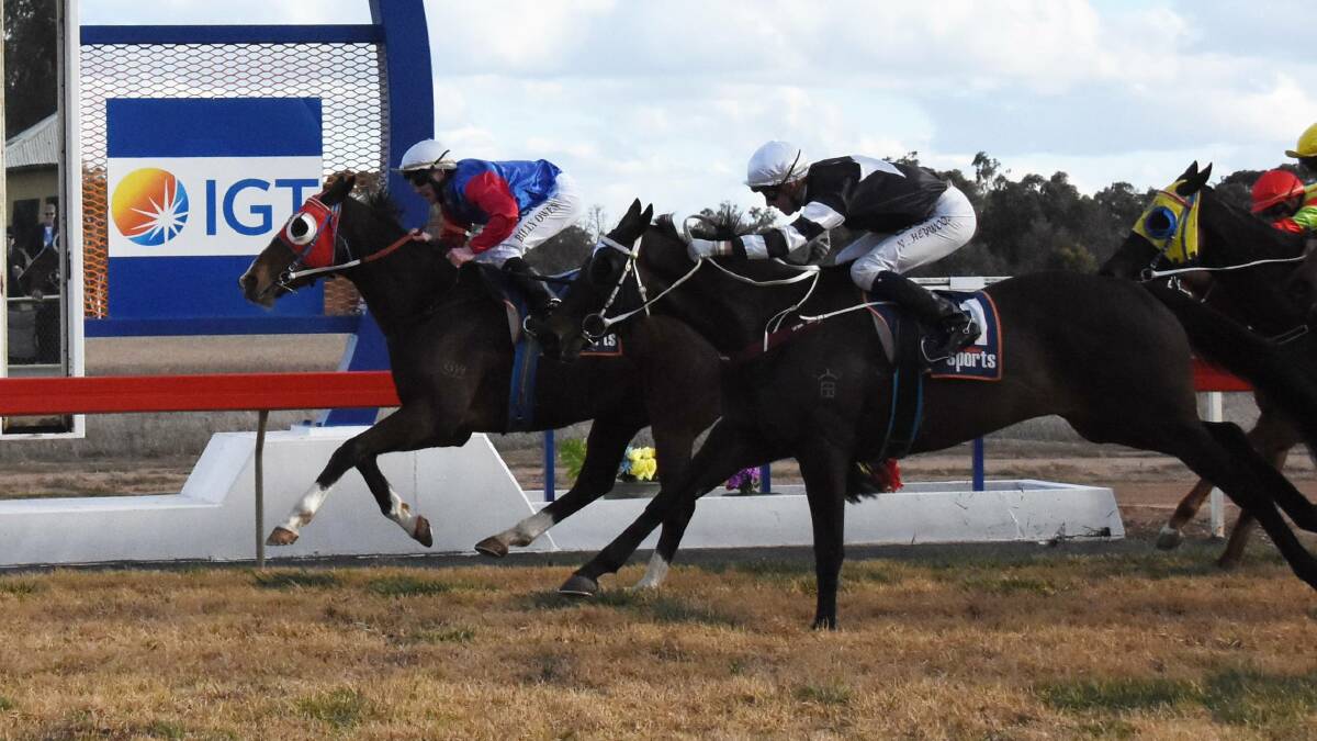 Billy Owen steers Willy White Socks to victory in 2018, the second Forbes Cup win in a row for trainer Trevor Sutherland. 